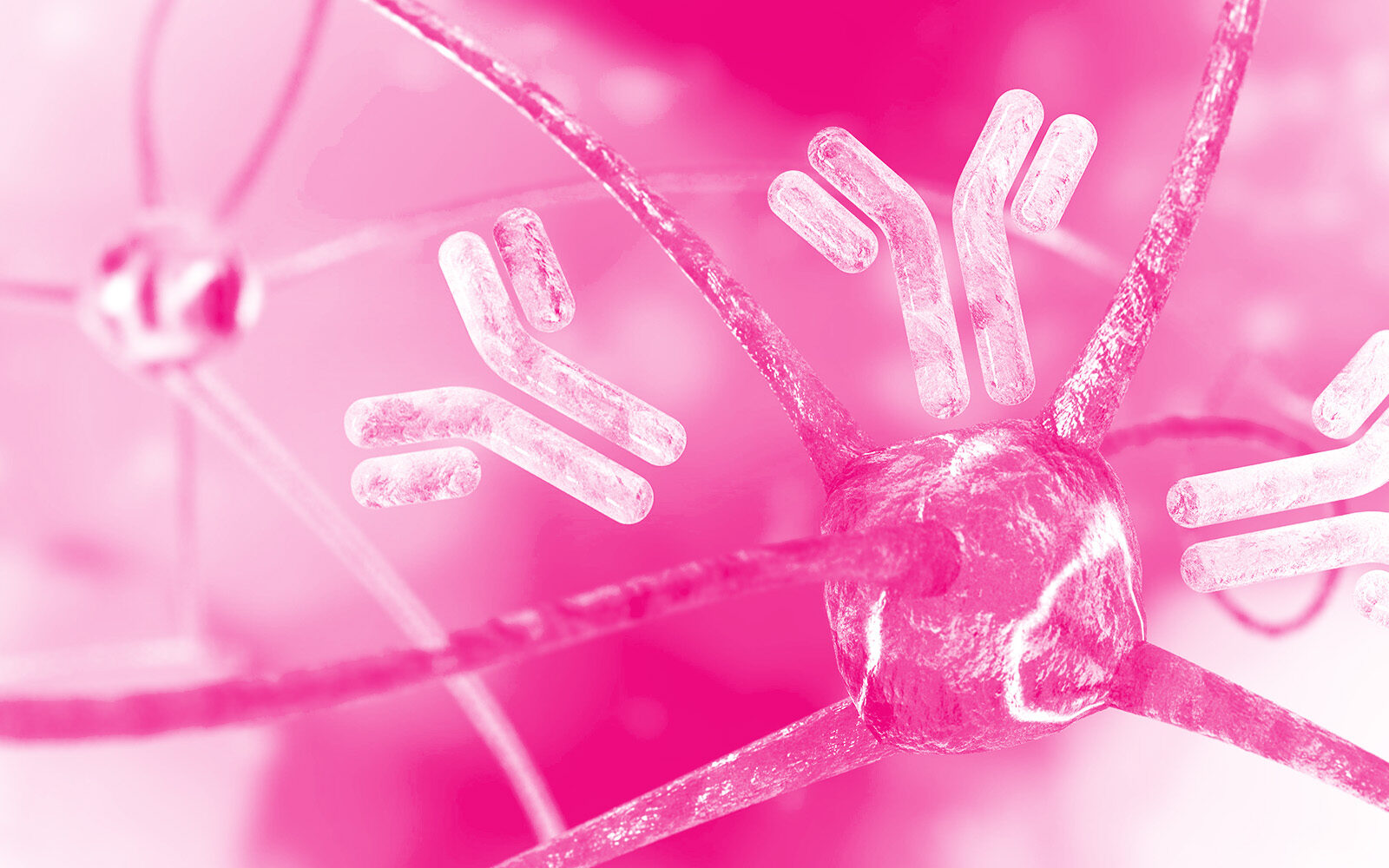 Antibodies fixing damaged cell.