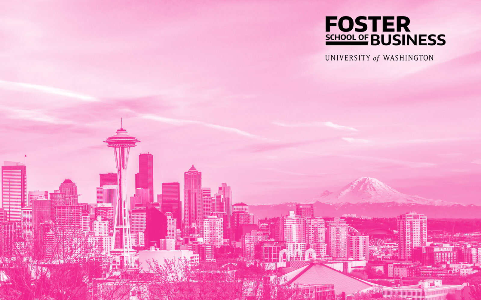 Seattle city skyline