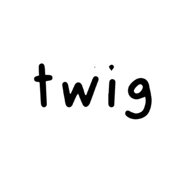 Twig company logo